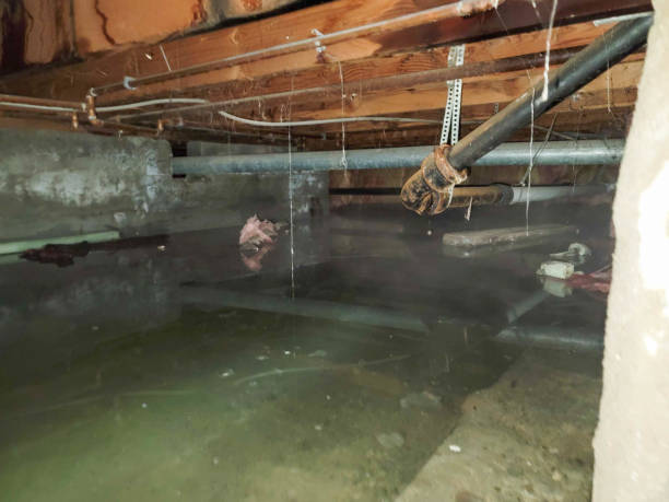 Trusted GA Water damage restoration Experts