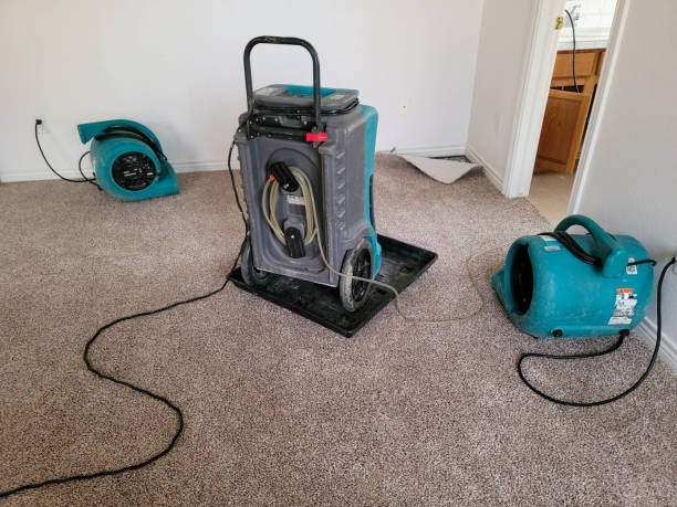 Best Local water damage restoration  in Palmetto, GA