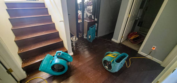 Best Professional water damage repair  in Palmetto, GA