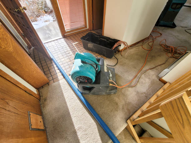Best Basement water damage restoration  in Palmetto, GA