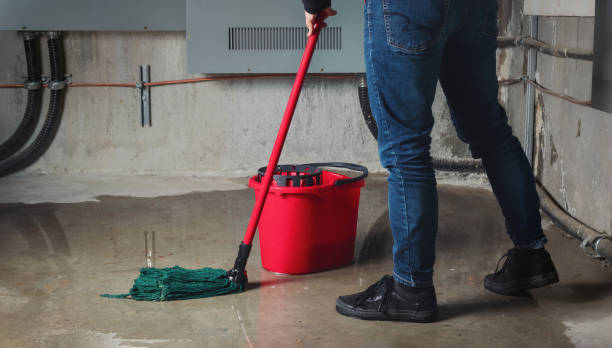 Best Fire Damage Restoration  in Palmetto, GA