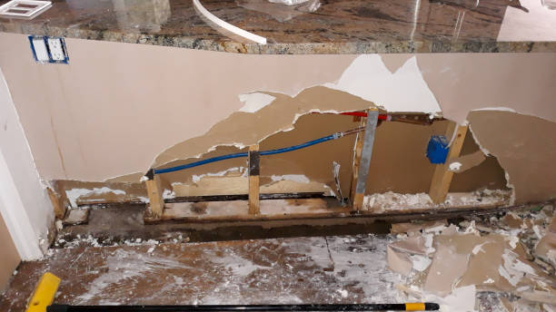 Best Carpet water damage restoration  in Palmetto, GA
