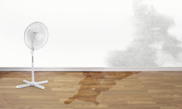 Best 24/7 water damage repair  in Palmetto, GA