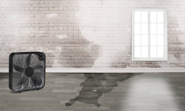Best Commercial water damage restoration  in Palmetto, GA