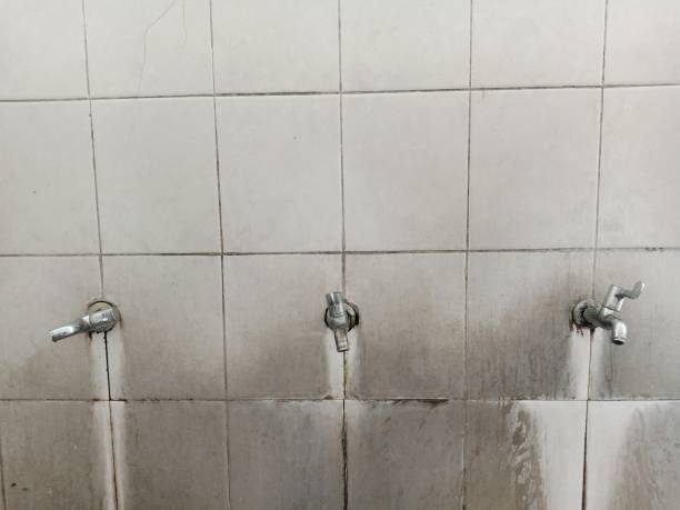 Best Residential water damage restoration  in Palmetto, GA