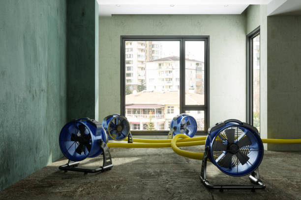 Best Flood restoration services  in Palmetto, GA