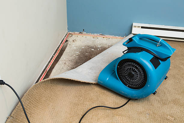 Best 24/7 water damage repair  in Palmetto, GA